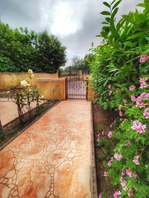 Villetta Di Anastasia 1 Tropea Filandari Eksteriør billede